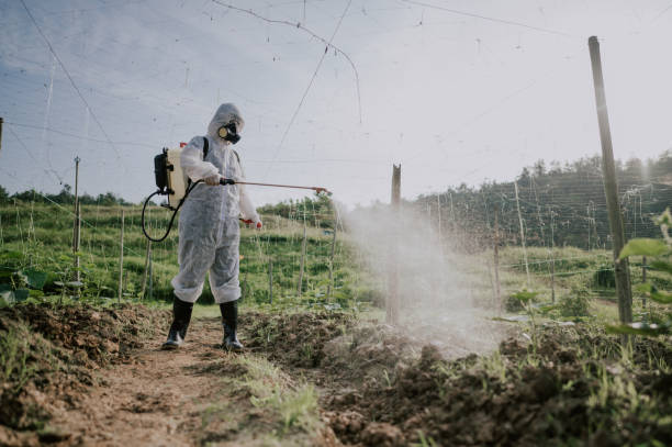 Best Pest Prevention Services  in Princeton, MN