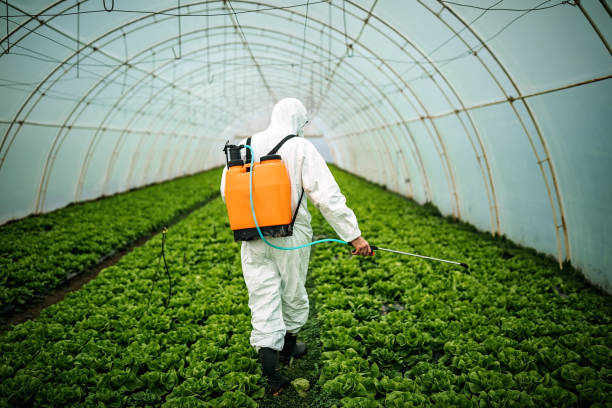 Pest Control Cost in Princeton, MN