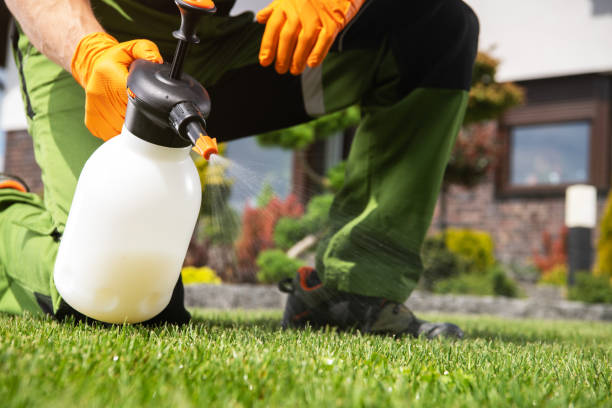 Best Exterminator Services  in Princeton, MN